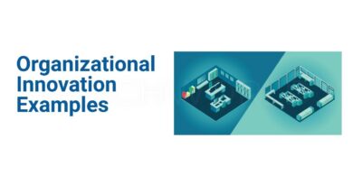 Organizational Innovation Examples